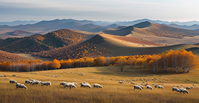 木蘭圍場(chǎng)-界河-烏蘭布統(tǒng)大草原3日游