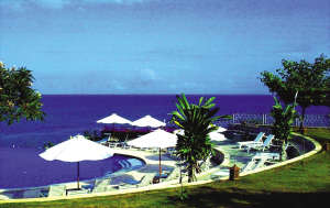 巴厘島 請本版圖片作者速與本報聯系