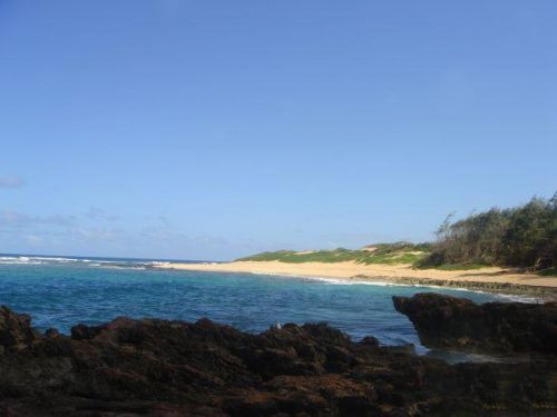 考愛島:太平洋上的蜜月天堂圖片