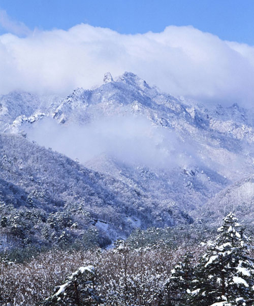醉美韓國(guó)雪岳山圖片