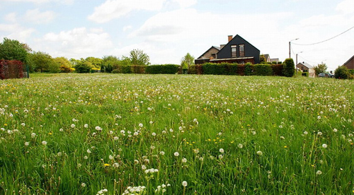 比利時迪南 薩克斯故鄉圖片
